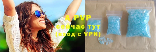 PSILOCYBIN Ростов