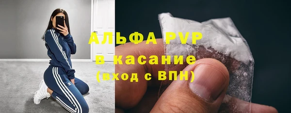 амф Ладушкин