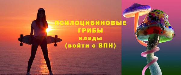 соль ск Россошь