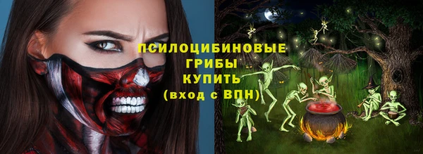 PSILOCYBIN Ростов