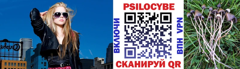 хочу наркоту  Ахтубинск  Галлюциногенные грибы прущие грибы 