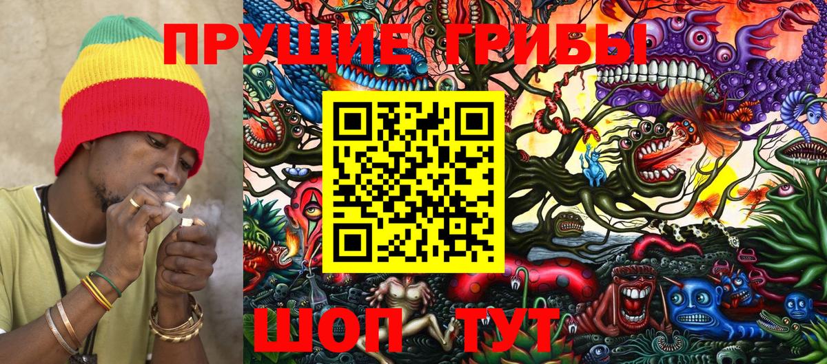 Галлюциногенные грибы GOLDEN TEACHER  Вход с VPN  Ахтубинск 