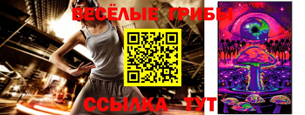 Галлюциногенные грибы GOLDEN TEACHER Ахтубинск